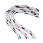 ΣΧΟΙΝΙ ΤΡΙΚΛΩΝΟ ΒΥΘΙΖΟΜΕΝΟ